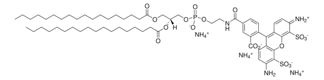 18:0 PE-TopFluor&#174; AF488 Avanti Polar Lipids