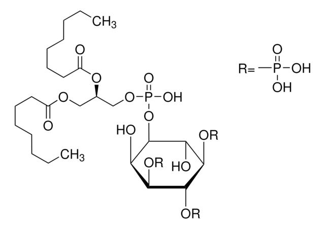 L-&#945;-Phosphatidyl-D-myo-inositol 3,4,5-triphosphate, dioctanoyl