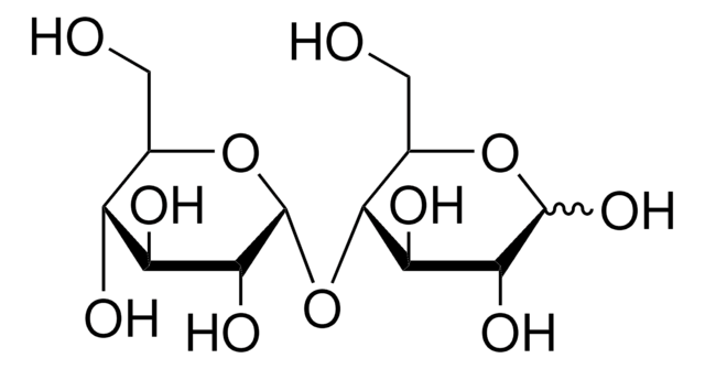 Maltose solution BioReagent, for molecular biology, ~20% in H2O