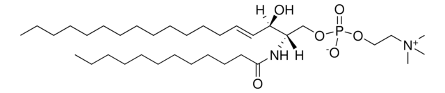 12:0 SM (d18:1/12:0) Avanti Polar Lipids 860583P, powder