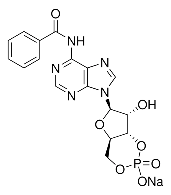 6-Bnz-cAMP 钠盐 &#8805;98% (HPLC)