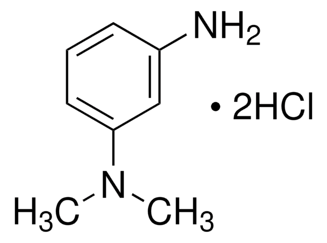 N,N-二甲基间苯二胺 二盐酸盐 99%