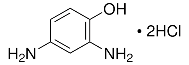 2,4-二氨基苯酚 二盐酸盐 98%