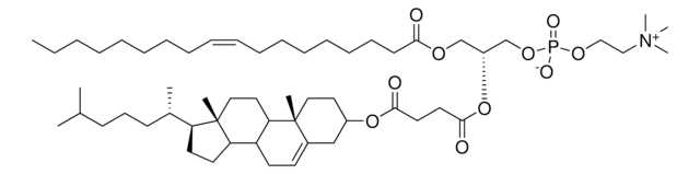 OChemsPC Avanti Polar Lipids 880344P, powder