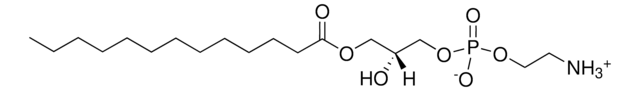 13:0 Lyso PE 1-tridecanoyl-sn-glycero-3-phosphoethanolamine, powder