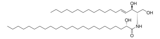 24:0(2S-OH) Ceramide Avanti Polar Lipids 860824P, powder