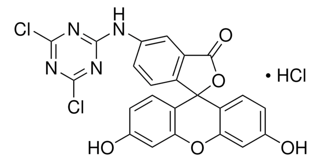 5-（[4,6-二氯三嗪-2-基]氨基）荧光素 盐酸盐 &#8805;90% (HPLC)