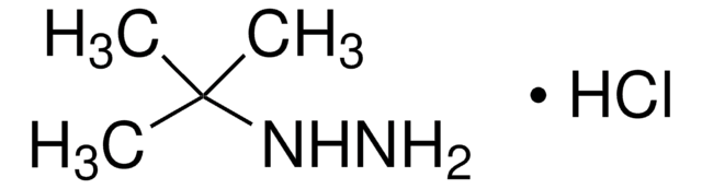 叔丁基肼 盐酸盐 98%