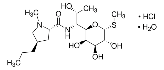 林可霉素 盐酸盐 一水合物 European Pharmacopoeia (EP) Reference Standard