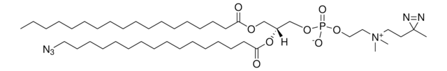 IKS02 Avanti Polar Lipids