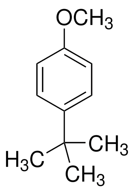 4-叔丁基苯甲醚 97%