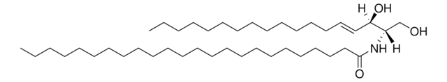 C24 Ceramide (d18:1/24:0) Avanti Research&#8482; - A Croda Brand