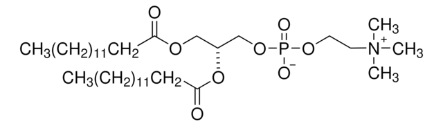 1，2-二肉豆蔻酰基-sn-甘油-3-磷酸胆碱 synthetic, ~99%