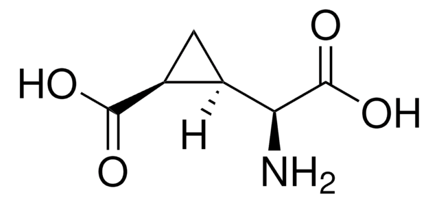 (2S,3R,4S)-&#945;-(羧基环丙基)甘氨酸 solid