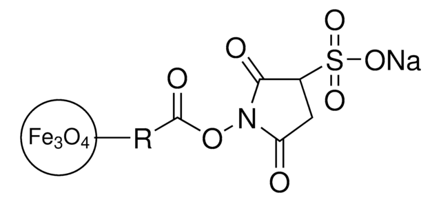 氧化铁 (II,III) 磁性纳米粉末 30&#160;nm avg. part. size (TEM), NHS ester functionalized