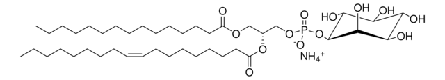 15:0-18:1 PI Avanti Polar Lipids