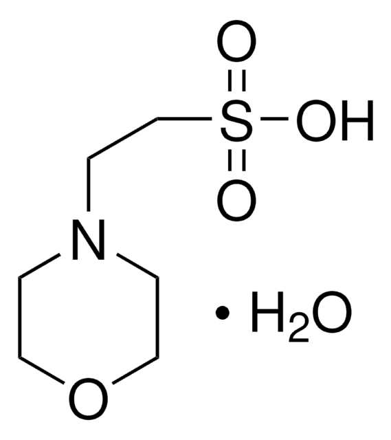 MES monohydrate for molecular biology, &#8805;99%