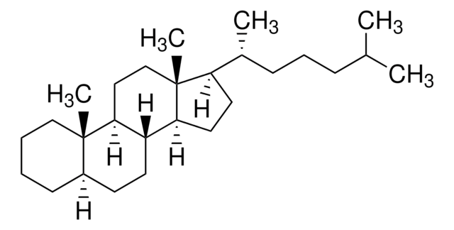 5&#945;-胆甾烷溶液 certified reference material, TraceCERT&#174;, Manufactured by: Sigma-Aldrich Production GmbH, Switzerland