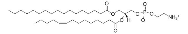 17:0-14:1 PE Avanti Polar Lipids LM1104, methanol solution