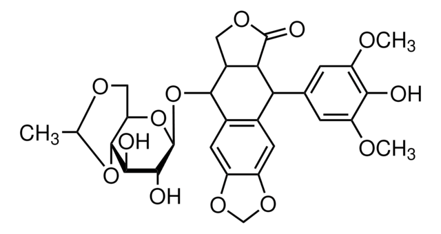 Etoposide synthetic, 95.0-105.0%, powder