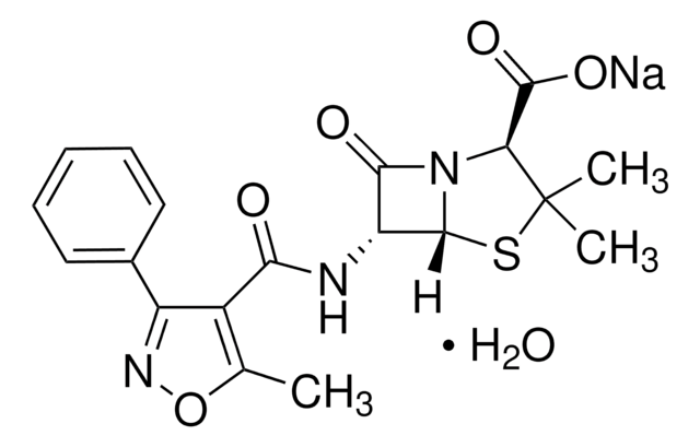 Oxacillin sodium salt monohydrate