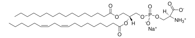 大豆磷脂酰丝氨酸 Avanti Polar Lipids 870336C