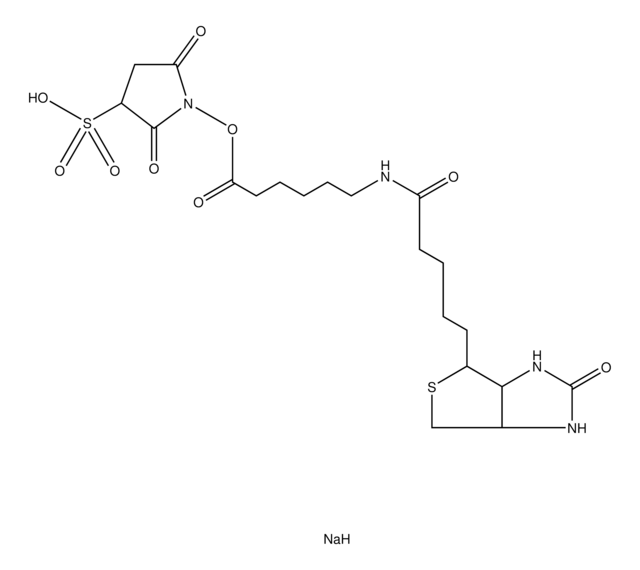 生物素胺基己酸3-磺基-N-羟基琥珀酰亚胺酯 钠盐 &#8805;90% (TLC), powder