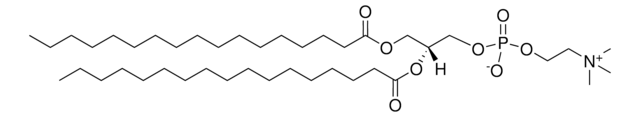 17:0 PC 1,2-diheptadecanoyl-sn-glycero-3-phosphocholine, chloroform