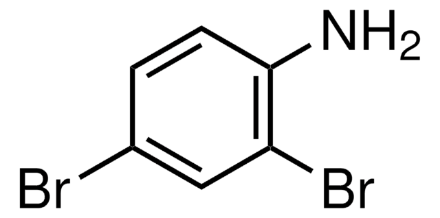 2,4-二溴苯胺 98%