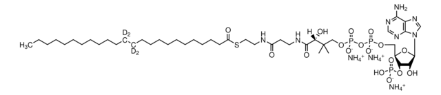 24:0(d4) Coenzyme A Avanti Polar Lipids, powder