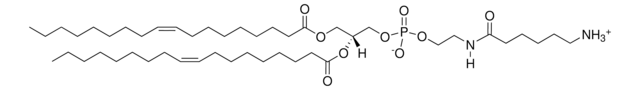 18:1 Caproylamine PE Avanti Polar Lipids