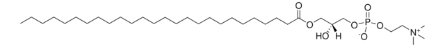 26:0 Lyso PC 1-hexacosanoyl-2-hydroxy-sn-glycero-3-phosphocholine, powder