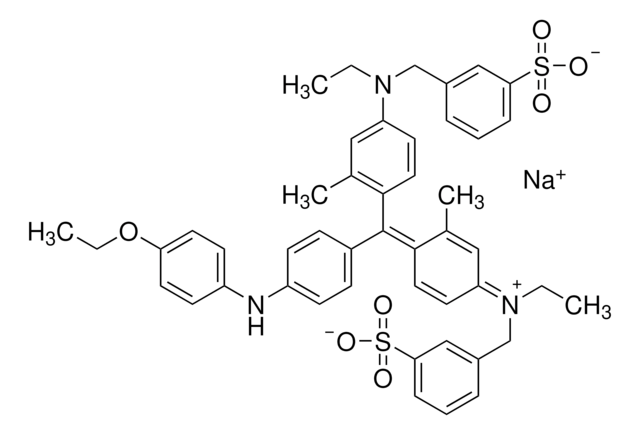 考马斯蛋白检测试剂