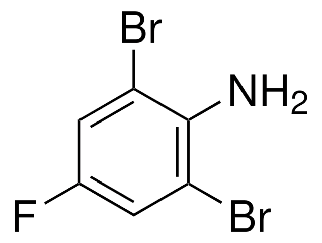 2,6-二溴-4-氟苯胺 98%