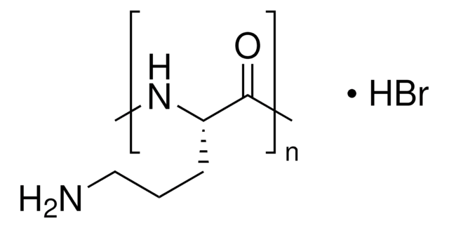 聚-L-鸟氨酸 溶液 mol wt 30,000-70,000, 0.01%, sterile-filtered, BioReagent, suitable for cell culture