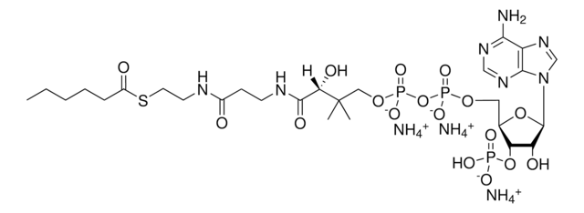 06:0 Coenzyme A Avanti Polar Lipids 870706P, powder