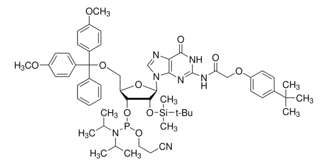 DMT-2&#8242;O-TBDMS-rG(tac) Phosphoramidite configured for ABI