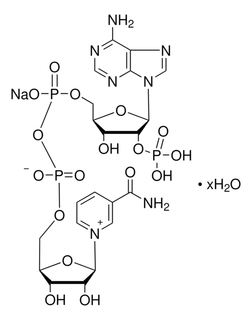 NADP, Monosodium Salt A coenzyme that is widely distributed in living matter. Participates in oxidation-reduction reactions. Spectra (pH 7.0): 250 nm/260 nm: 0.78-0.88; 280 nm/260 nm: 0.16-0.26.