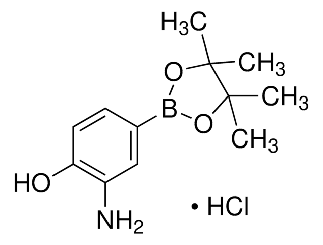 3-Amino-4-hydroxyphenylboronic acid pinacol ester hydrochloride 97%