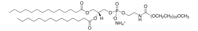 14:0 PEG1000 PE Avanti Polar Lipids 880710P, powder