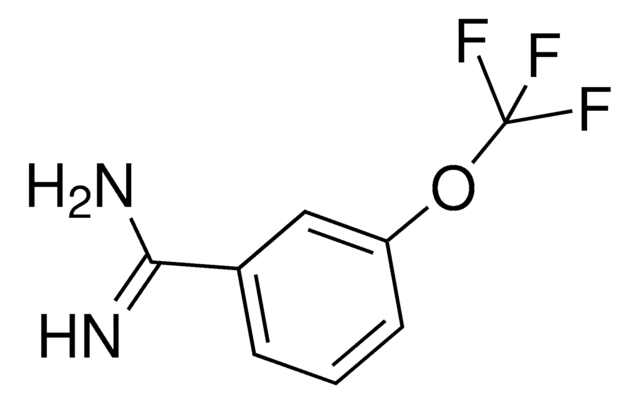 3-(Trifluoromethoxy)benzamidine AldrichCPR