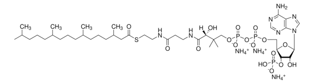 4ME 16:0 Coenzyme A Avanti Polar Lipids 870742P, powder