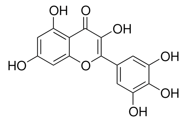 Myricetin phyproof&#174; Reference Substance