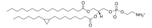 16:0-17:0 cyclo PE Avanti Polar Lipids 857502P, powder