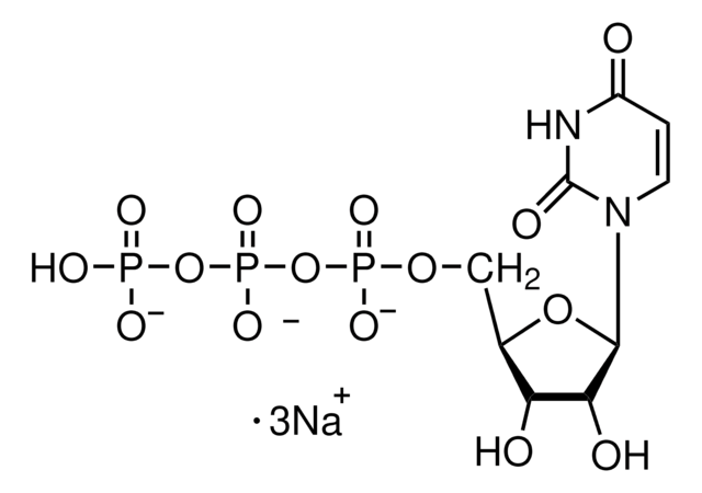 Uridine 5&#8242;-triphosphate trisodium salt hydrate Type IV, &#8805;93.0% (HPLC)