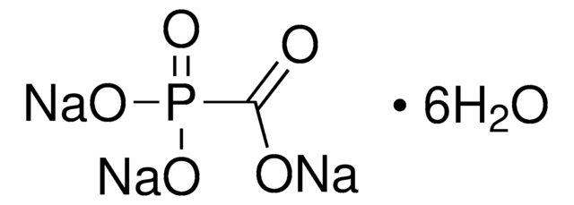 膦甲酸钠 三元 六水合物