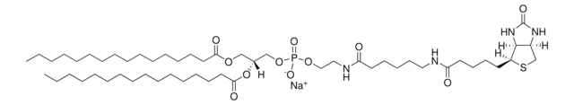 16:0 Biotinyl Cap PE Avanti Polar Lipids 870277P, powder