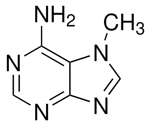 7-甲基腺嘌呤 97%