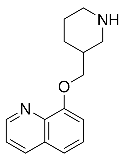 8-(3-Piperidinylmethoxy)quinoline AldrichCPR