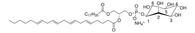 18:0-20:4 PI Avanti Polar Lipids